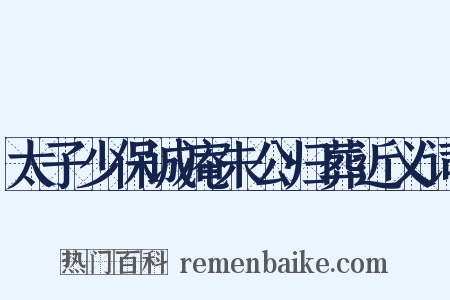 太子少保诚庵朱公归葬近义词是什么意思的图片